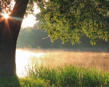 Det bästa: en stunds meditation vid älven