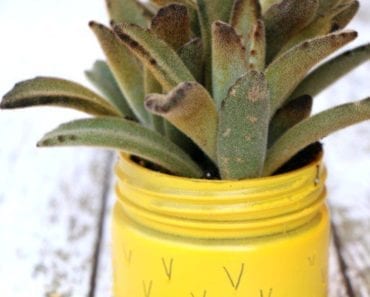 pysseltips, pyssel, pyssla, DIY, skapa, kreativitet, inspiration, idéer, pysselidéer, remake, inredning, ananas, ananas saker, kruka, krukor, suckulenter, plantera, glasburk