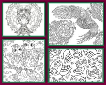 målarbilder, målarbild, gratis målarbilder, gratis målarbild, målarbok, målarböcker, målarbok för vuxna, målarböcker för vuxna, zentangle, mandala, mindfulness, måla, färglägga, mindfullness, doodle, bättre hälsa, bra hälsa, uggla, uv, ugglor, ugglemotiv, bilder med ugglor