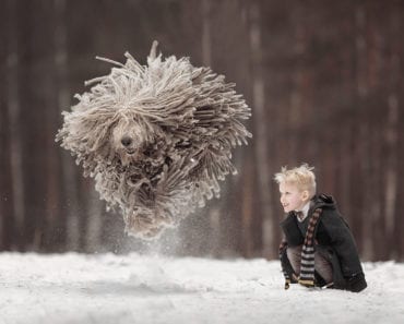 hundbild, hundbilder, barn, hund