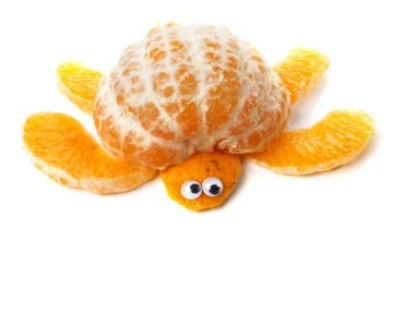 frukt, frukter, mat, fruktstund, göra mat rolig, kreativ mat, pyssel, pyssla, pysseltips, leka med mat, pyssla och lek, familj, barn, barnpyssel, pyssel för barn, familjepyssel, skola, fritids, förskola, göra sköldpadda av clementin, clementin, sköldpadda, citrus, citrusfrukt