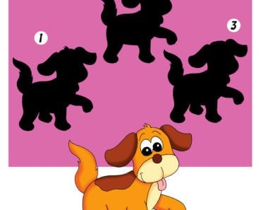 knep, knåp, knep och knåp, knep & knåp, förskola, skola fritids, barnpyssel, pyssel, pyssel för barn, form, lära sig känna igen former, hund, kan du hitta skuggan