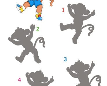 knep, knåp, knep och knåp, knep & knåp, förskola, skola fritids, barnpyssel, pyssel, pyssel för barn, apa, rolig apa, dansande apa, appyssel, kan du hitta skuggan, former, lära sig se former