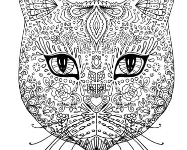 målarbilder, målarbild, gratis målarbilder, gratis målarbild, målarbok, målarböcker, målarbok för vuxna, målarböcker för vuxna, zentangle, mandala, mindfulness, måla, färglägga, mindfullness, doodle, bättre hälsa, bra hälsa, katt, djur, husdjur, kattansikte