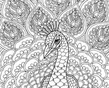 målarbilder, målarbild, gratis målarbilder, gratis målarbild, målarbok, målarböcker, målarbok för vuxna, målarböcker för vuxna, zentangle, mandala, mindfulness, måla, färglägga, mindfullness, doodle, bättre hälsa, bra hälsa, djur, fågel, fåglar, påfågel, påfåglar, påfågelfjäder, påfågelfjädrar, fjäder, fjädrar