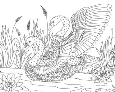 målarbilder, målarbild, gratis målarbilder, gratis målarbild, målarbok, målarböcker, målarbok för vuxna, målarböcker för vuxna, zentangle, mandala, mindfulness, måla, färglägga, mindfullness, doodle, bättre hälsa, bra hälsa, djur, fågel, fåglar, svan, svansjö