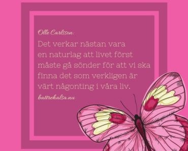 citat, tänkvärt, citat om livet, citat om att duga, Olle Carlsson