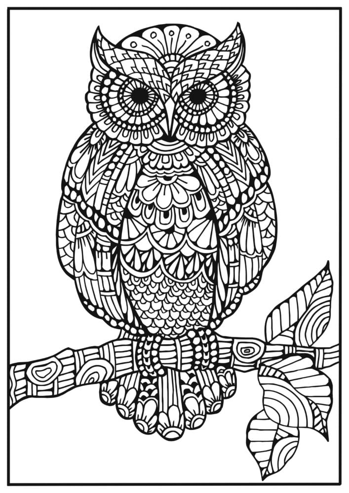 Målarbild för vuxna – klok uggla i zentangle design – Bättre Gratis målarbilder för vuxna | Målarböcker, Målarbok, Zentangle