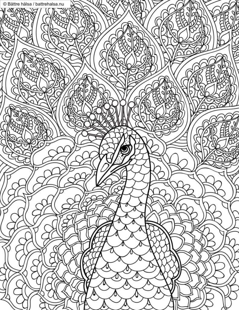 målarbilder, målarbild, gratis målarbilder, gratis målarbild, målarbok, målarböcker, målarbok för vuxna, målarböcker för vuxna, zentangle, mandala, mindfulness, måla, färglägga, mindfullness, doodle, bättre hälsa, bra hälsa, djur, fågel, fåglar, påfågel, påfåglar, påfågelfjäder, påfågelfjädrar, fjäder, fjädrar