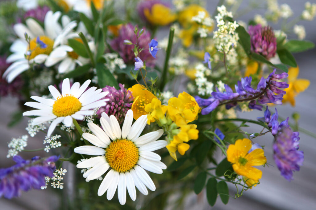 blomma pyssel