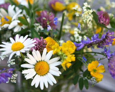 blomma pyssel