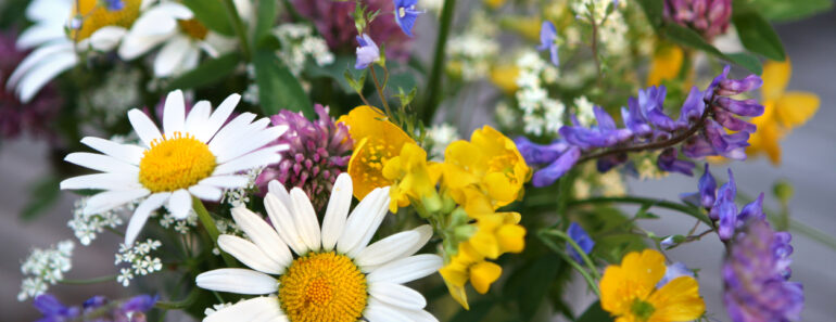 blomma pyssel