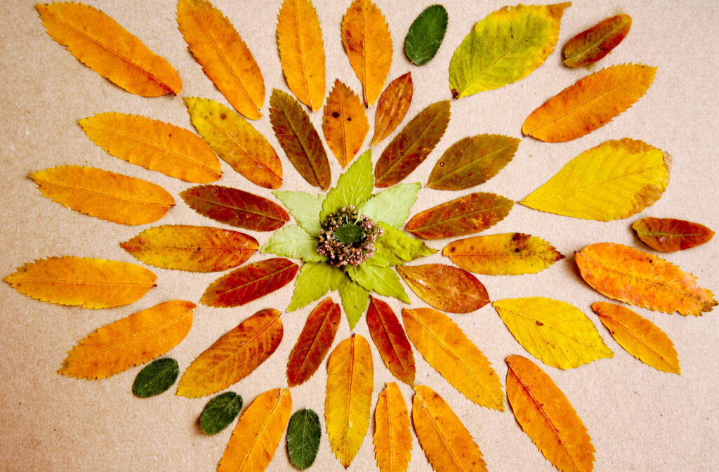 naturmandala