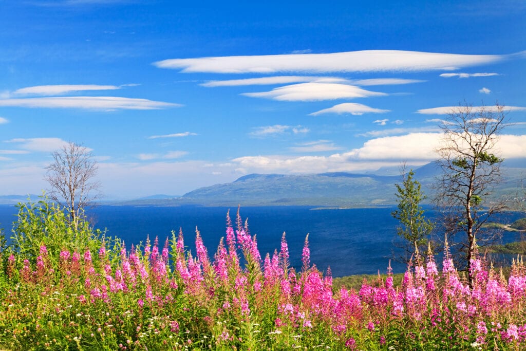svenska fjäll