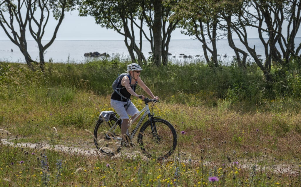 cykelleder i Sverige