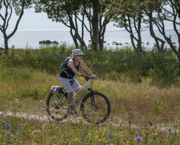 cykelleder i Sverige