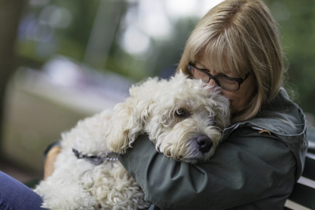 hälsoskäl att skaffa hund