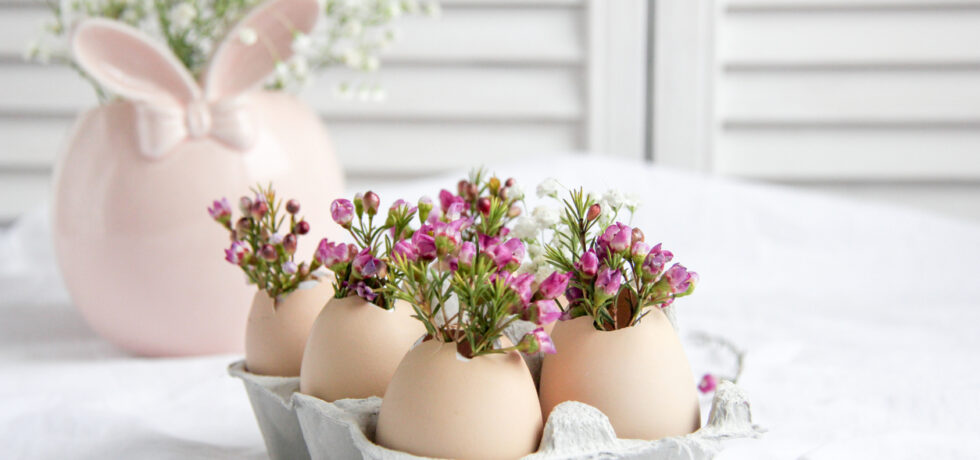så kan du ha blommor i äggskal